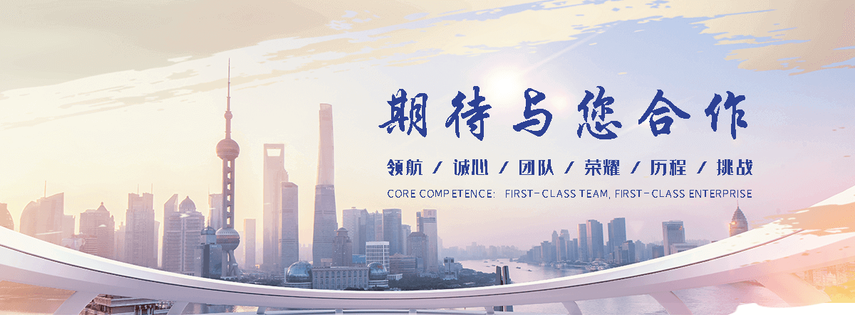 景德镇海狮租赁公司